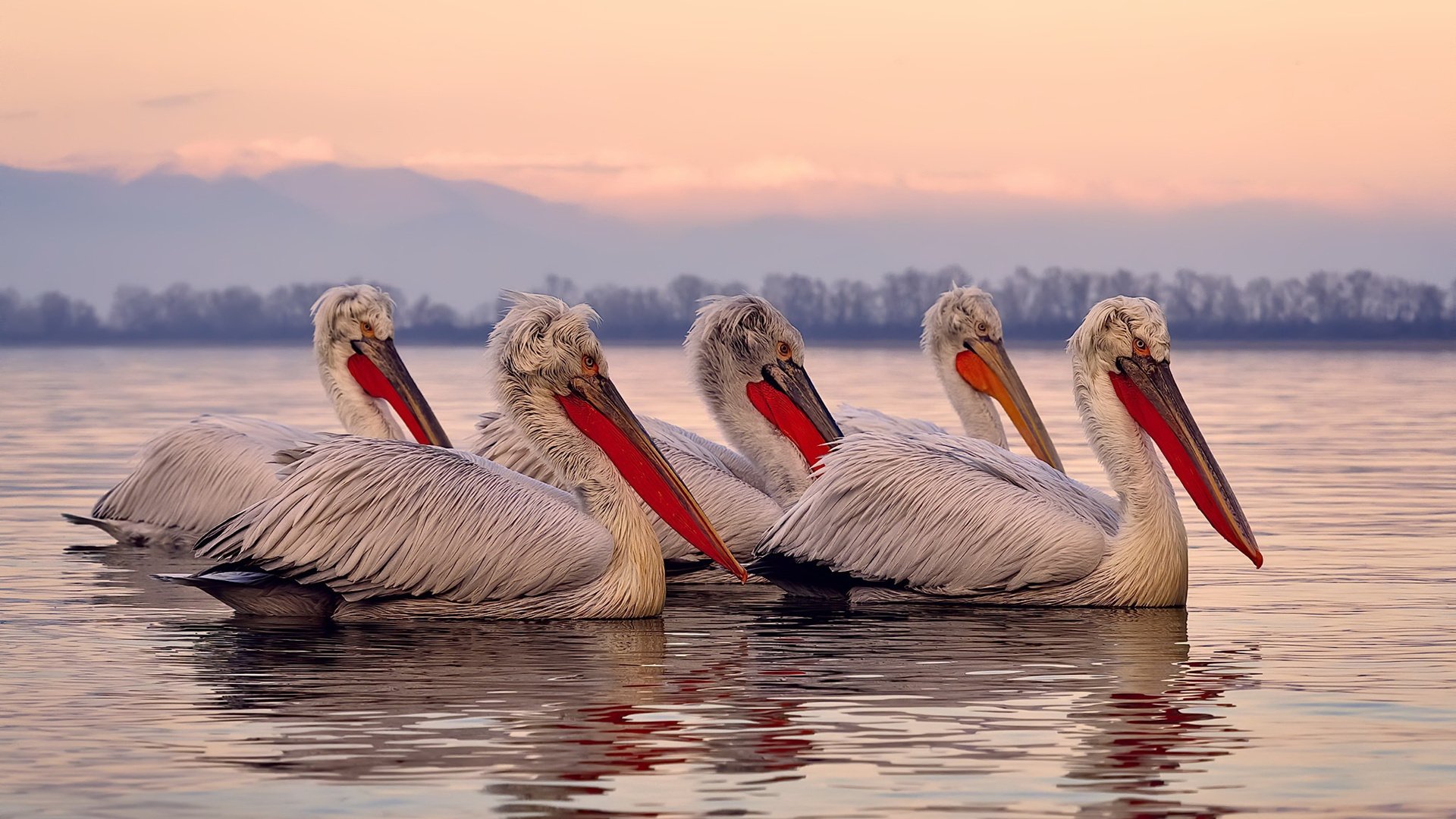 世俱杯2025赛程-_乒乓球超级联赛:高手对决,精彩纷呈_,乒乓球超级联盟