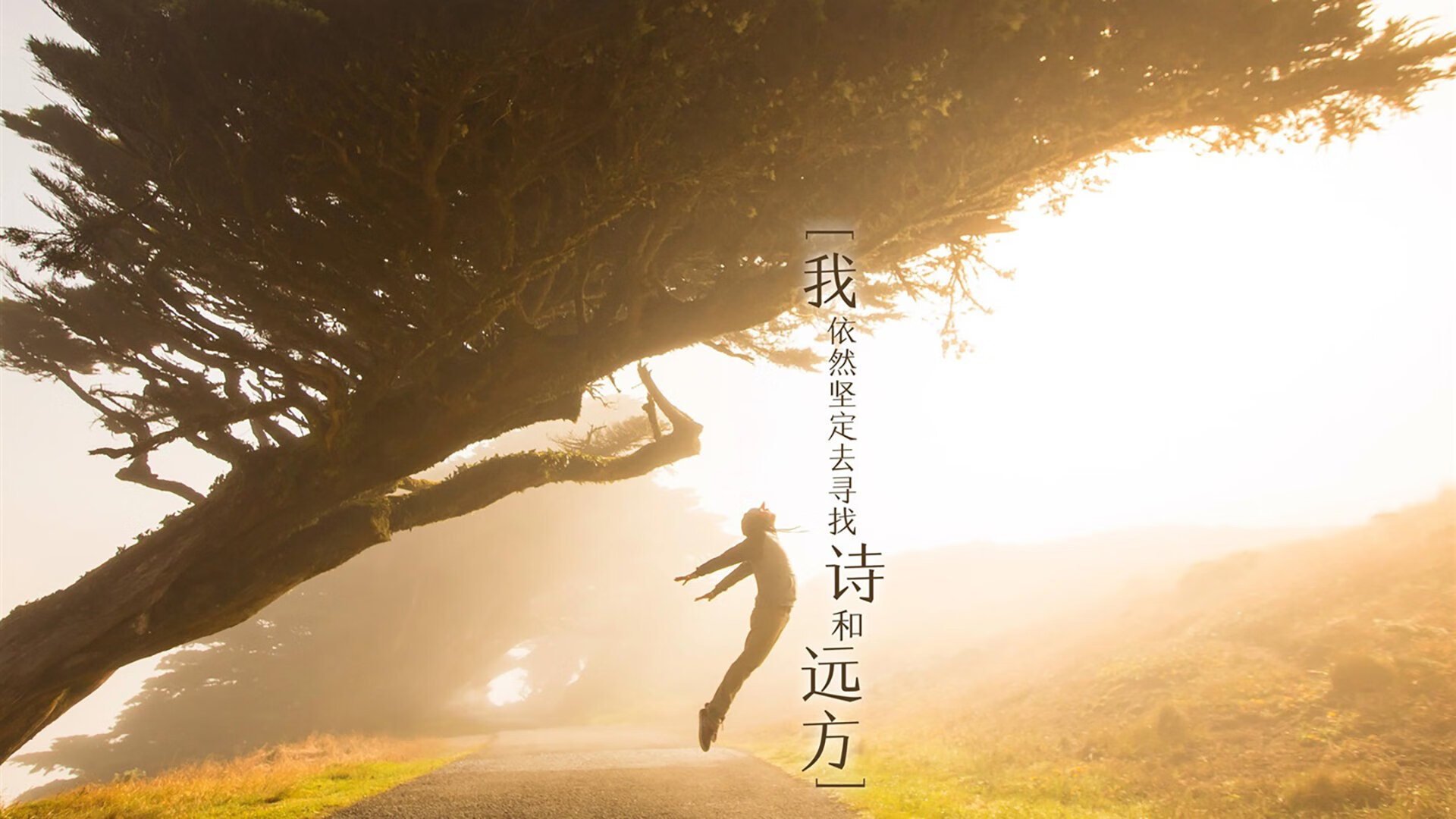 俱乐部冠军杯官网-《王者荣耀荣耀之战,冠军花落谁家?》,荣耀冠军百度百科