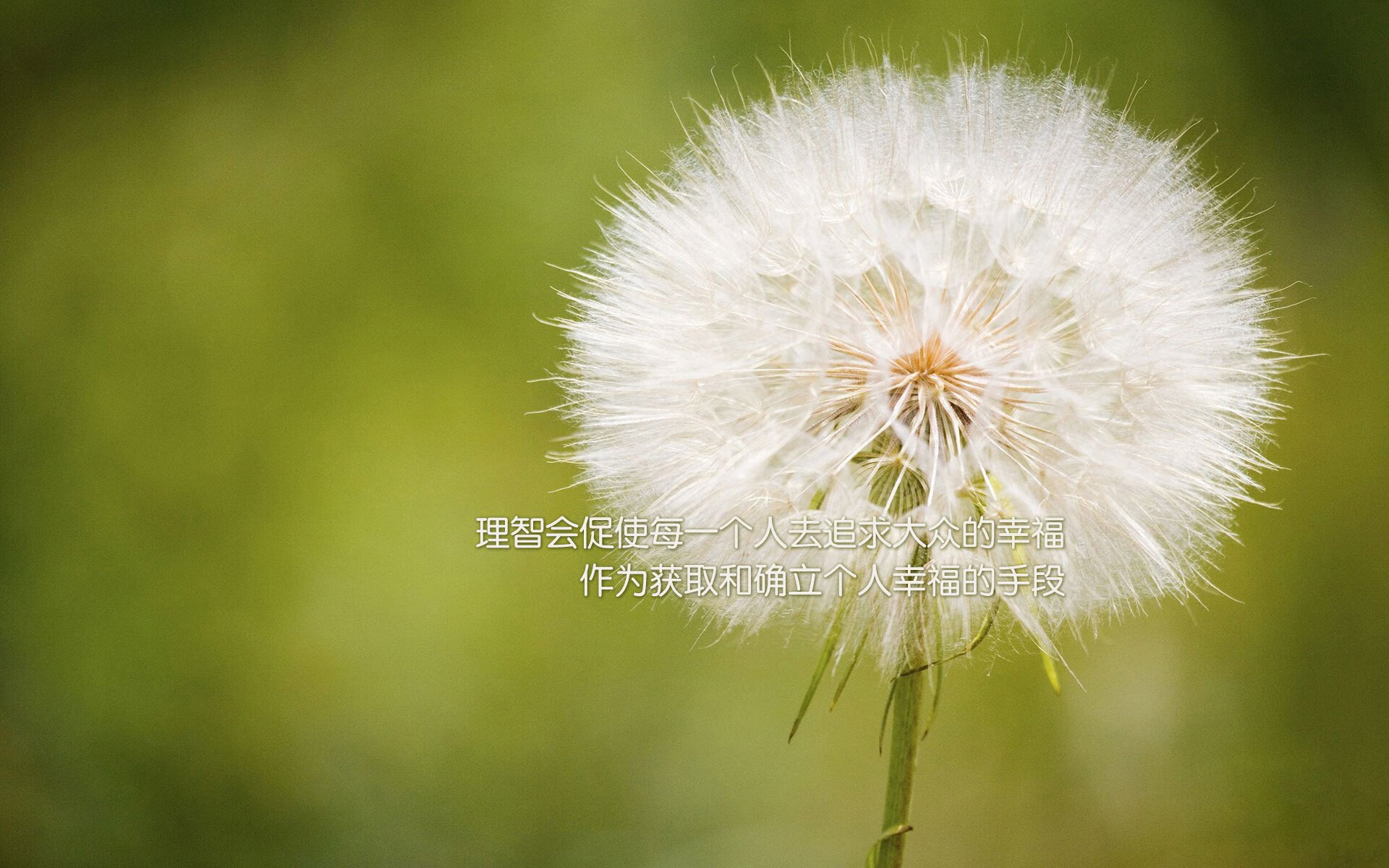 -《守望先锋全球锦标赛,策略与技巧的终极比拼》,守望先锋 竞技比赛