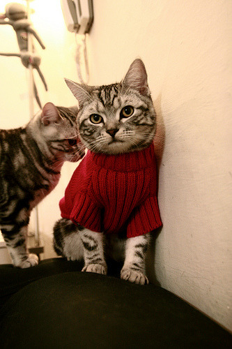 世俱杯-中国篮球裁判职业化升级，争议得以减少，我国篮球裁判员等级包括哪些