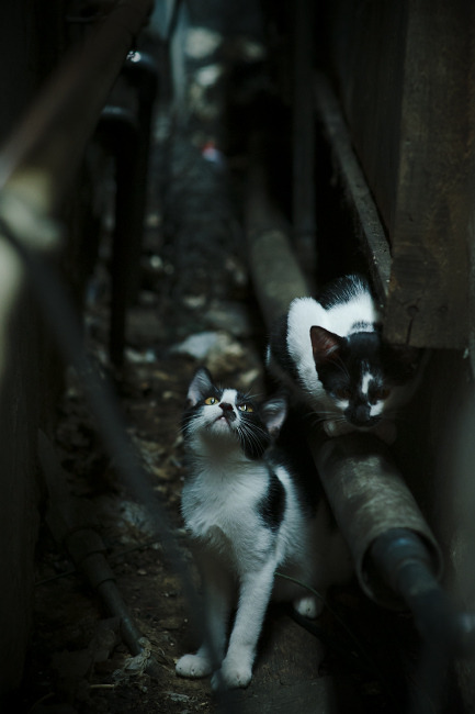 -国际名宿助阵中国足球,传授宝贵经验,中国足球民宿