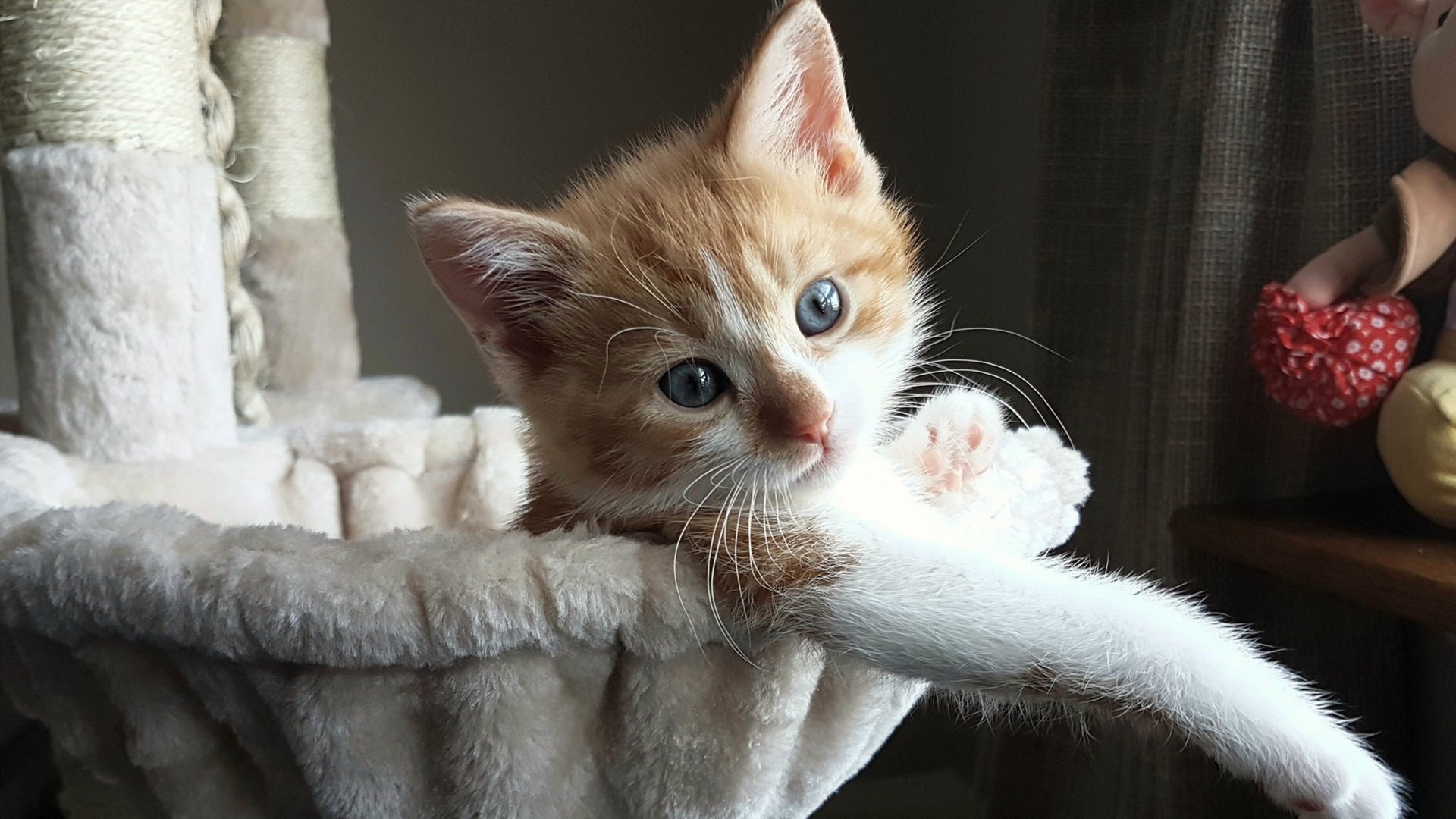 俱乐部冠军杯官网-各地出台广场舞管理条例,市区广场舞管理规范