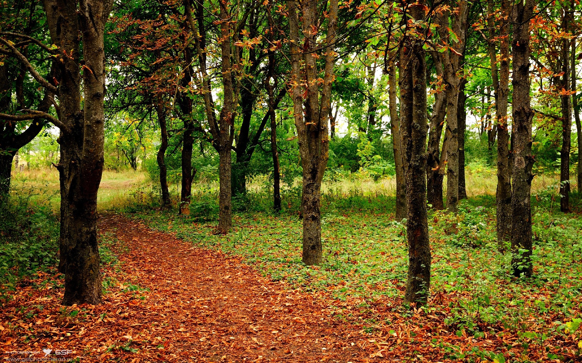 世俱杯足球-巴黎再签一名超级中场，梦想再升级，曝巴黎正酝酿超级转会