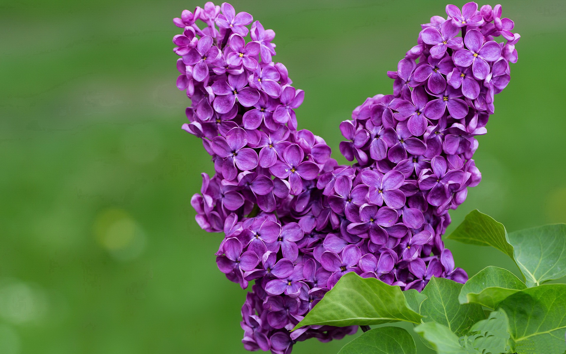 世俱杯比赛视频在线观看-潜水探宝赛:海底宝藏的神秘之旅,潜水探险