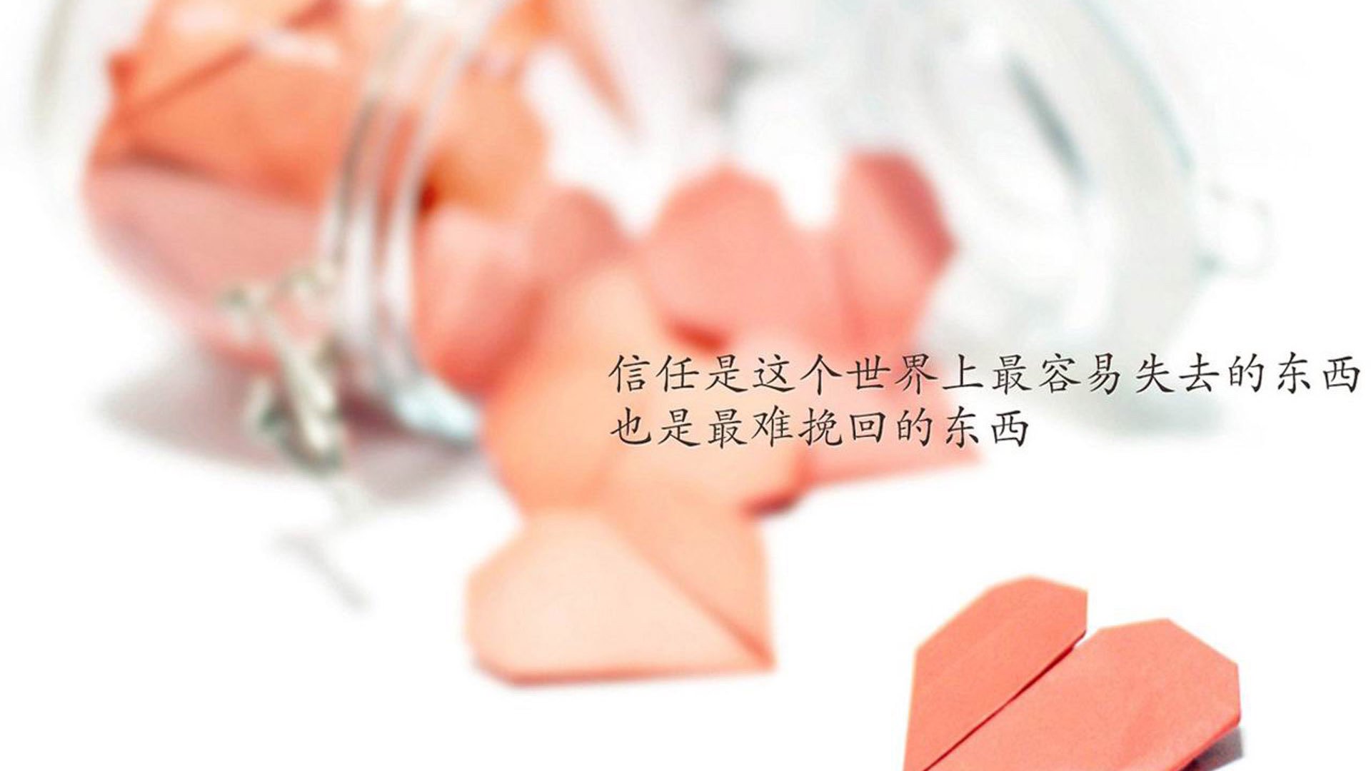 足球世俱杯-球迷电台：全民投票选出“年度最感人瞬间”，中国球迷投票全明星