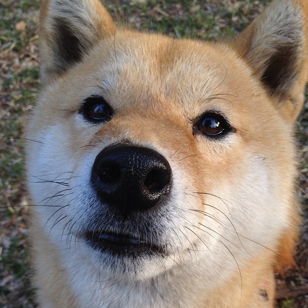 2025世俱杯赛程表比赛时间-西甲决战，比分2-0，梅西关键助攻，比赛中最高射门准度达78%，西甲梅西今晚比赛