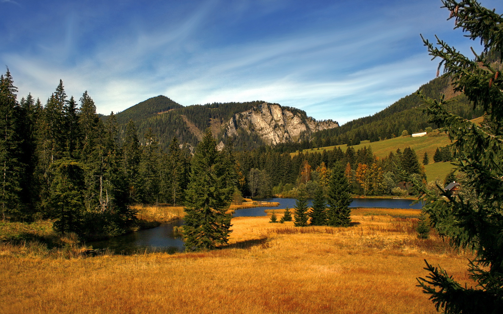 世界俱乐部杯在线观看-青少年电竞培训规范化，培养未来新星，青少年电竞培训基地