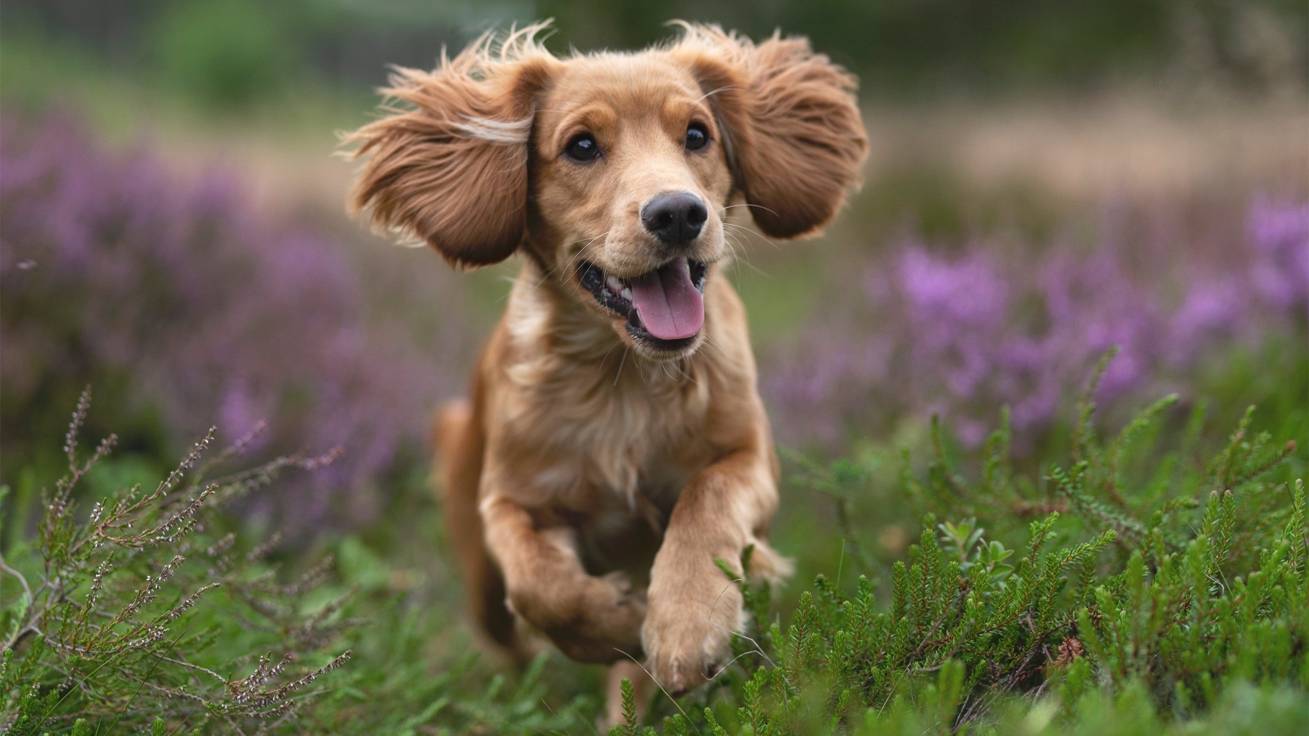 世界俱乐部杯-青少年沉迷预防:多层次、多角度推进电竞行业的健康发展,青少年沉迷于电子游戏的真实事例