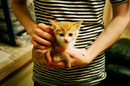 足球世俱杯-KPL赛区新人表现亮眼，kpl新一代明星选手有哪些