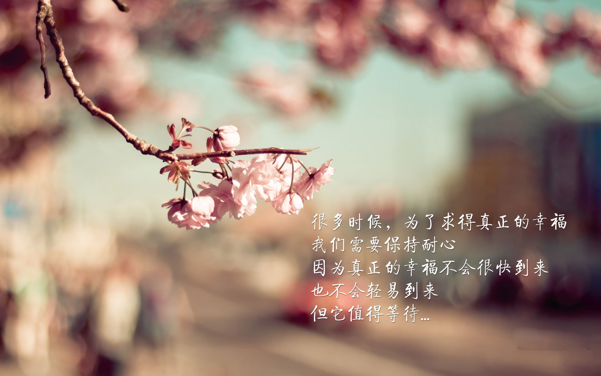 世俱杯2025-体育赛事精彩迷人,观众心情高涨,体育赛事集锦