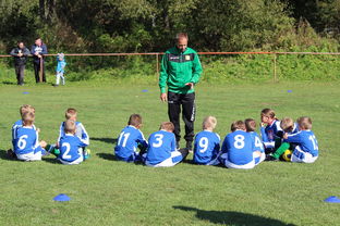 2025足球世俱杯官网-中国篮球教练员战术创新能力培养研究，篮球教练员职业素养的三大核心