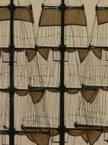 俱乐部冠军杯官网-中国篮球教练员战术执行能力提升路径分析,篮球教练技术