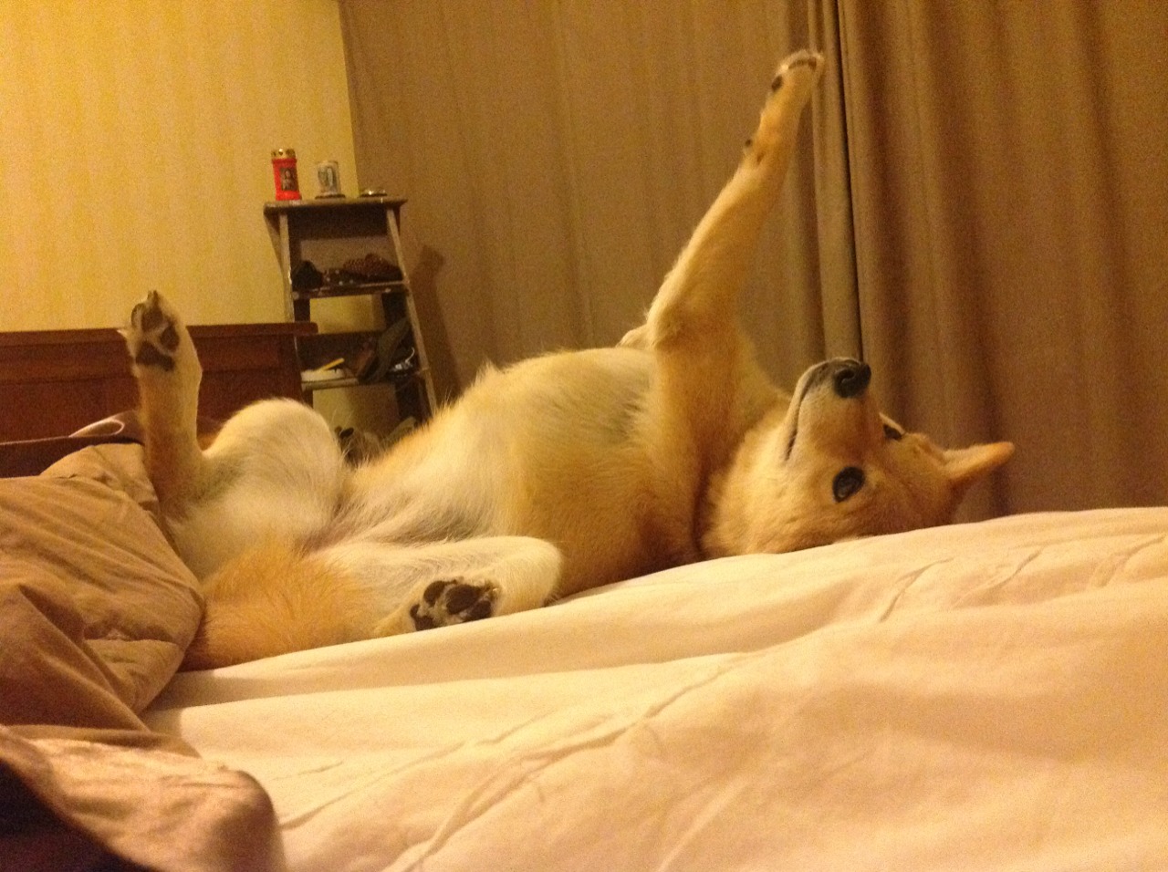 世俱杯赛程-中超球队边路战术调整路径可视追踪,中超边后卫