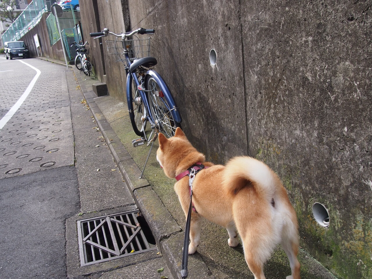世俱杯直播-英超球队通过高强度间歇训练提升球员耐力表现,英超球队一天训练多久