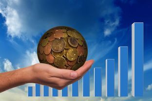 世俱杯2025赛程-高校体育课程线上线下融合教学模式研究,体育课线上教学与线下教学的看法