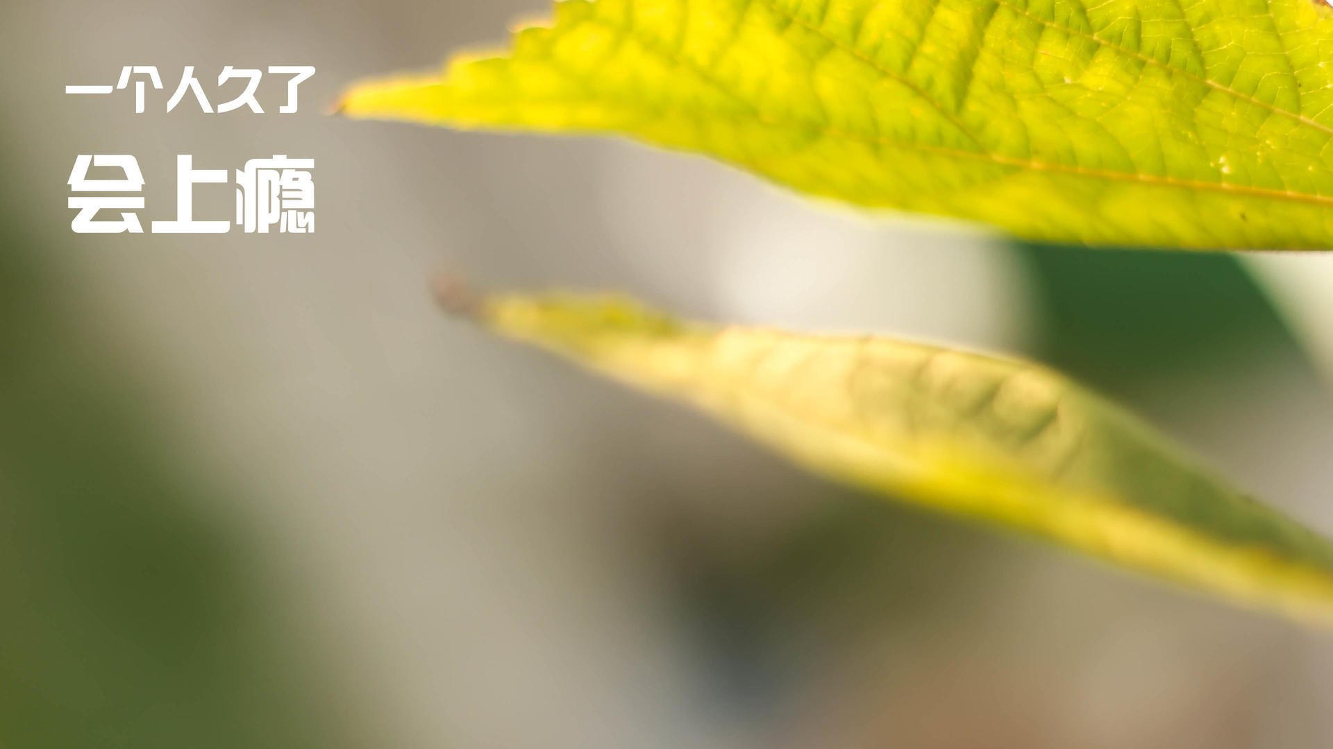 世俱杯2025赛程-高校体育课程线上线下融合教学模式研究,体育课线上教学与线下教学的看法